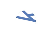 Brain Injury Icon