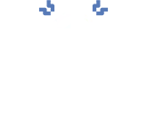 Catastrophic Injury Icon